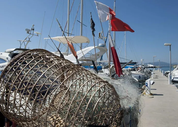 : 2 Pieces, 4 Couchages Avec Piscine Et Parking Inclus - Fr-1-226-556 * Sainte-Maxime